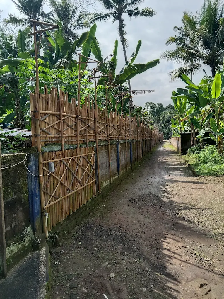 Foto Acong Swing Punggul – Ayunan Instagramable dengan Panorama Sawah & Tebing Alam