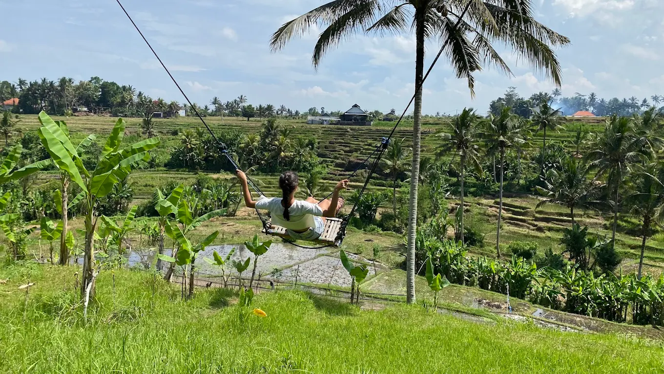 Acong Swing Punggul – Ayunan Instagramable dengan Panorama Sawah & Tebing Alam